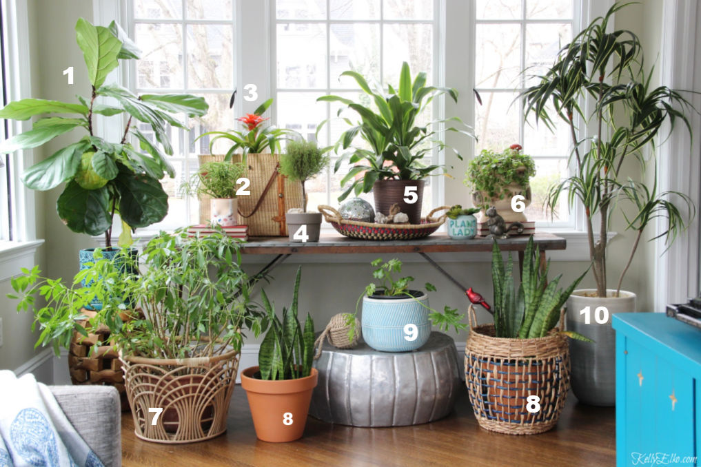 Favorite easy care houseplants - I love this sunroom space dedicated to a beautiful assortment of plants kellyelko.com #plants #planters #sunroomdecor #jungalow #gardens #gardener #plantcare #tipsandtricks 