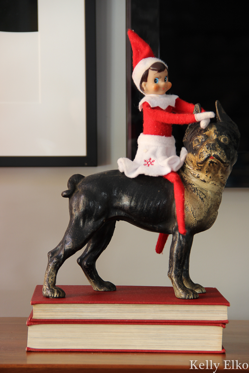 Elf on the Shelf on a Dog! kellyelko.com #elfonshelf #elfonashelf #vintagechristmas #antiquechristmas #bostonterrier #antiquedoorstop 