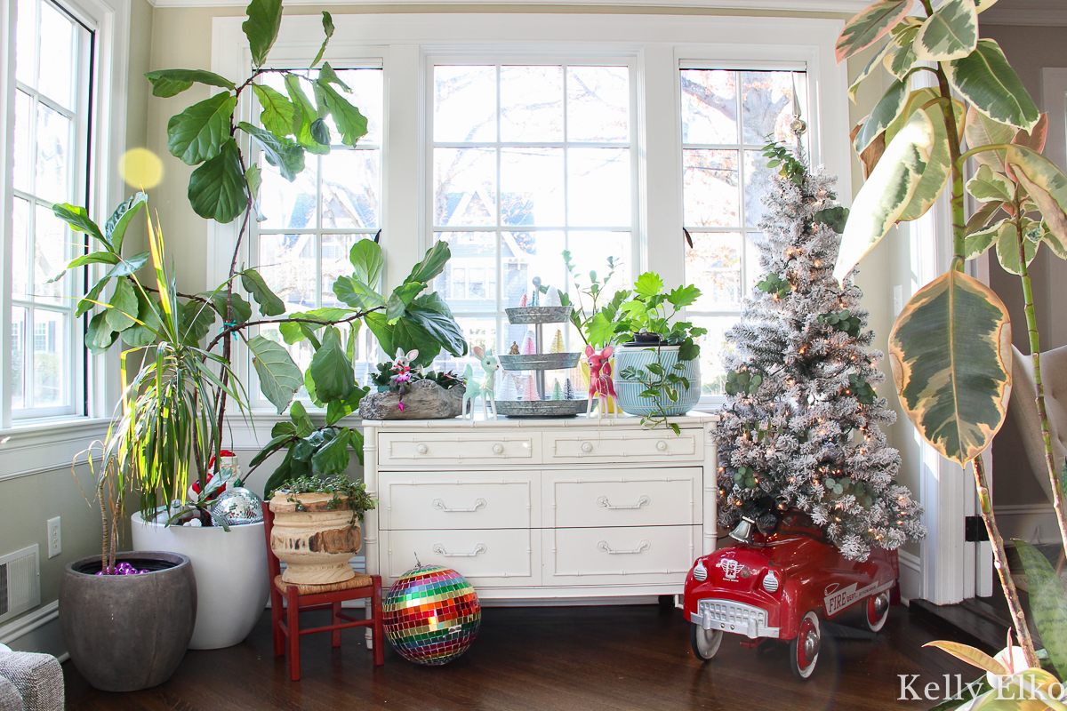 Beautiful plant filled sunroom with a vintage pedal car holding a Christmas tree kellyelko.com #christmasdecor #christmashometour #vintagechristmas #retrochristmas #pedalcar #vintagetoys #farmhousechristmas #fiddleleaffig #plantlady #sunroom