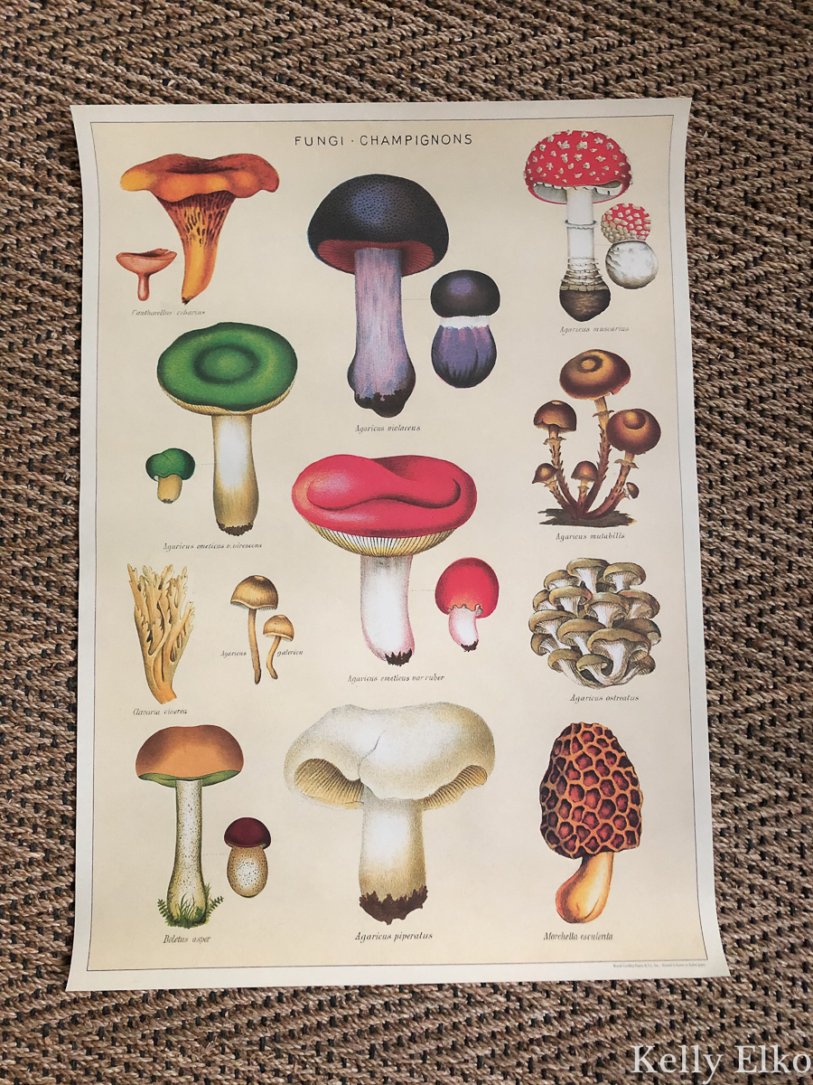 I love this mushroom gift wrap kellyelko.com #mushroom #mushrooms #giftwrap #diycrafts #christmascrafts