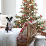 How to Display Christmas Decorations in Completely Different Ways Year after Year kellyelko.com - love the flock of red cardinal ornaments on the sparse Christmas tree