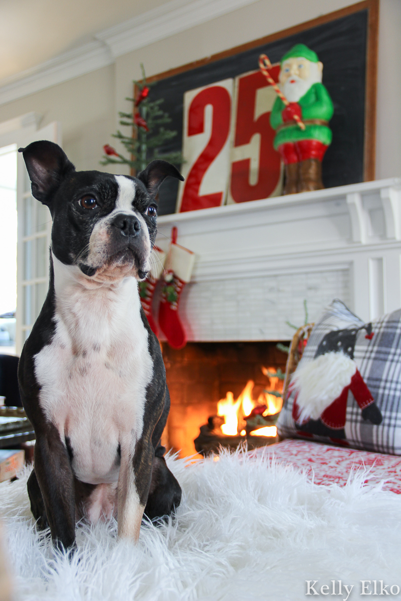 It's a Boston Terrier Christmas home tour! kellyelko.com #bostonterrier #christmashometour #vintagechristmas #retrochristmas #christmasmantel #farmhousechristmas #christmasblowmold #colorfulchristmas