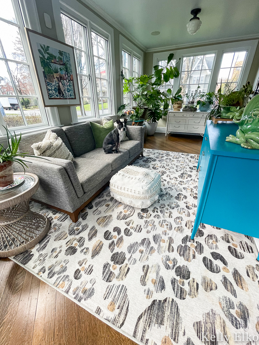 Ruggable Review: My 5 Favorite Ruggable Rugs