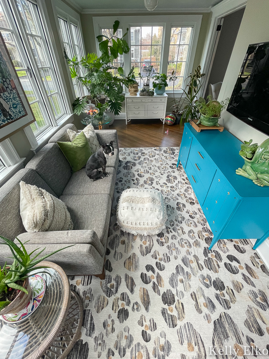 Love this leopard Ruggable rug in this plant filled sunroom kellyelko.com 