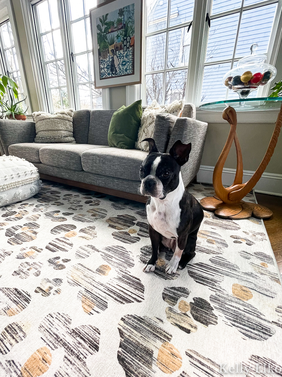 Pros and Cons of Machine Washable Ruggable Rugs - Kelly Elko