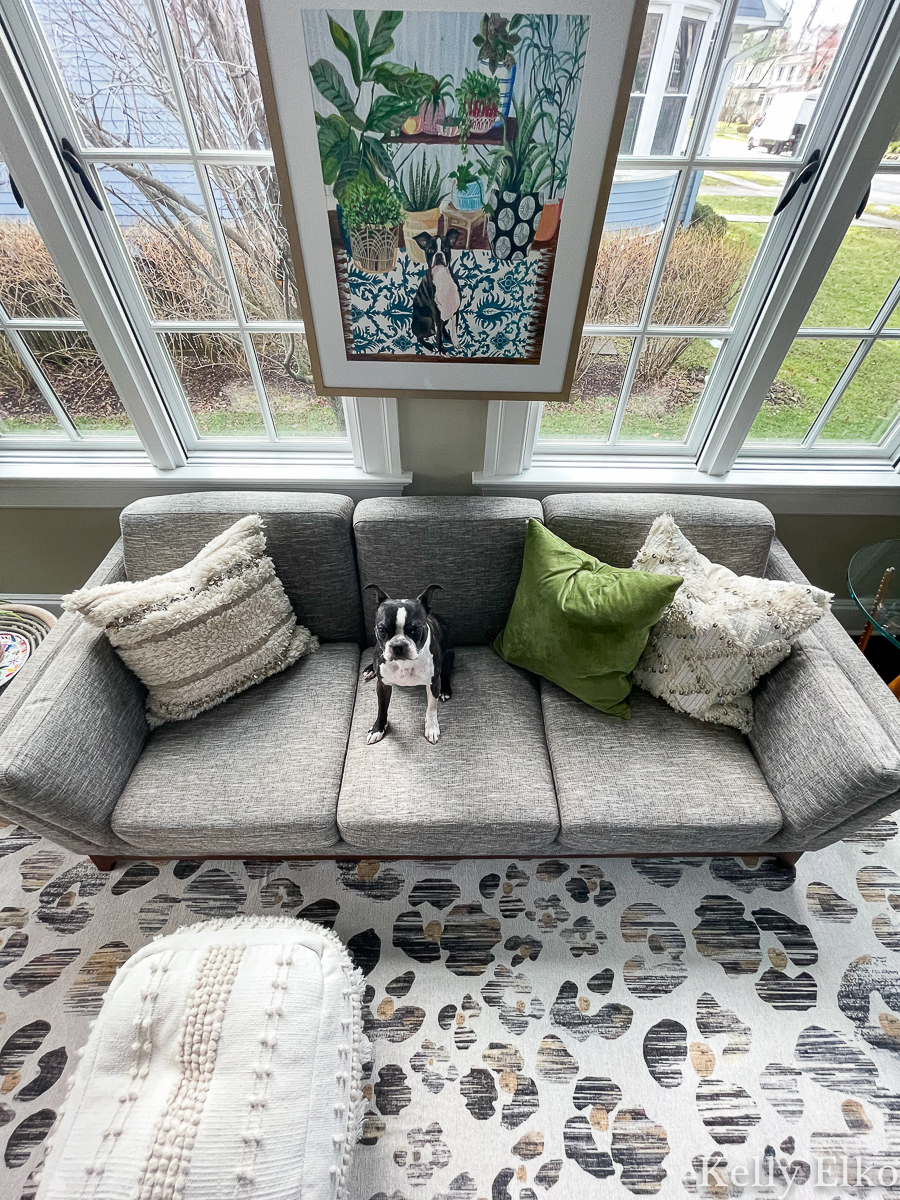 Love this neutral room with gray sofa and leopard rug and the pop of colorful art kellyelko.com 