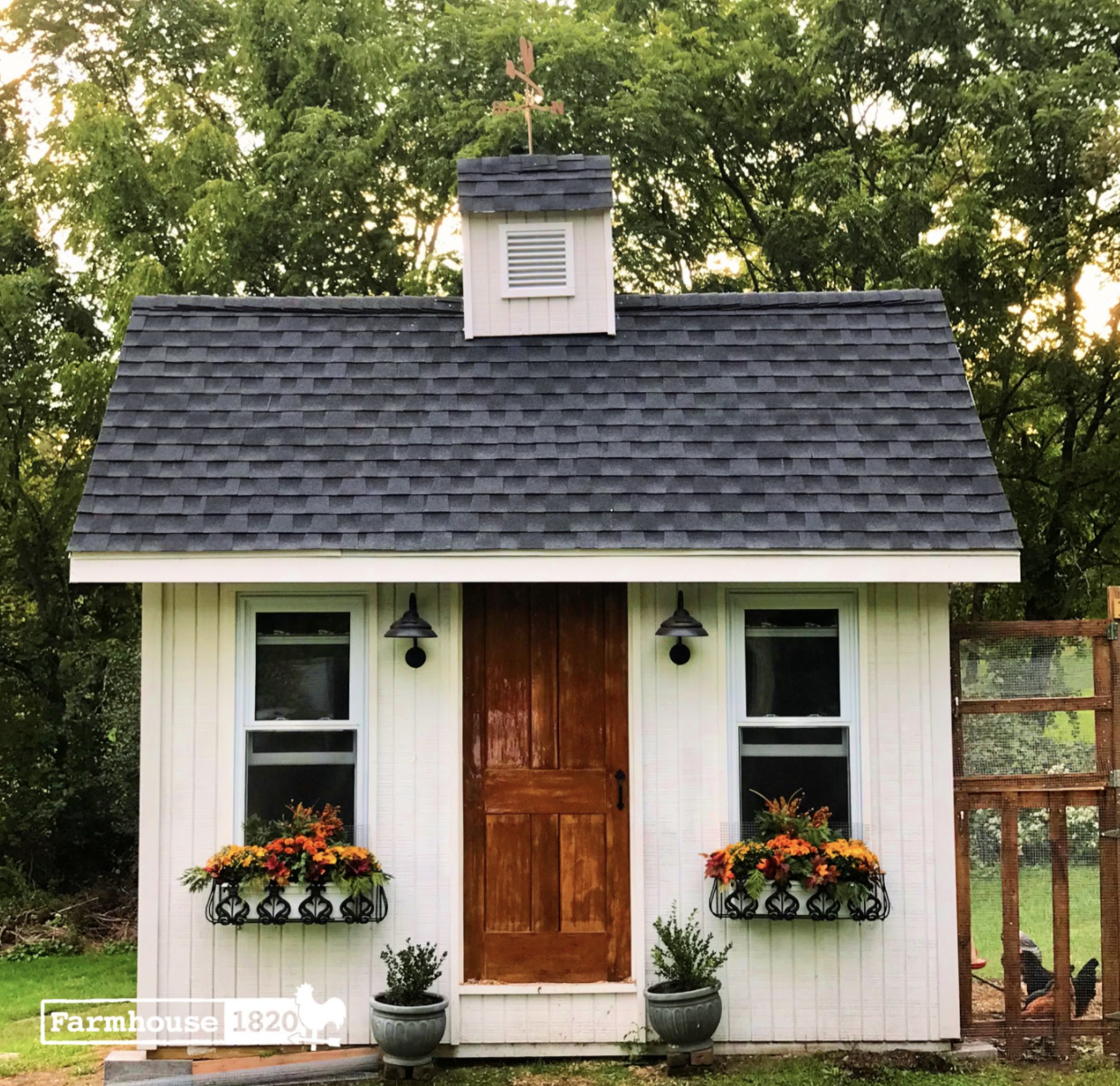 Charming little chicken coop 