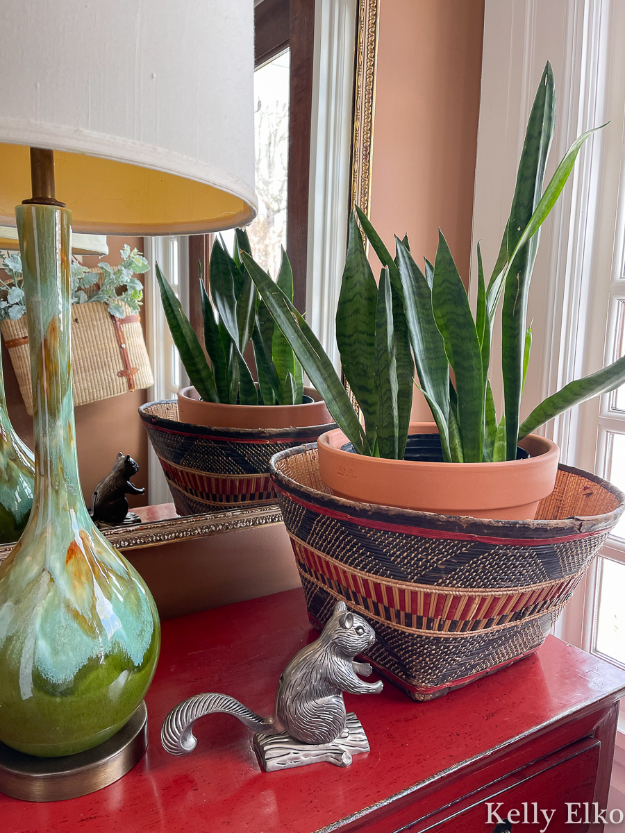 Eclectic vintage decor and a snake plant in a basket kellyelko.com