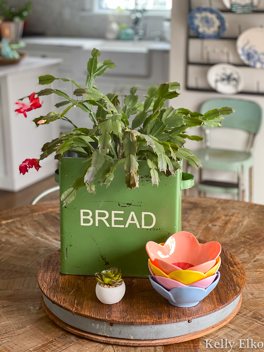 Love this vintage bread box used as a planter kellyelko.com