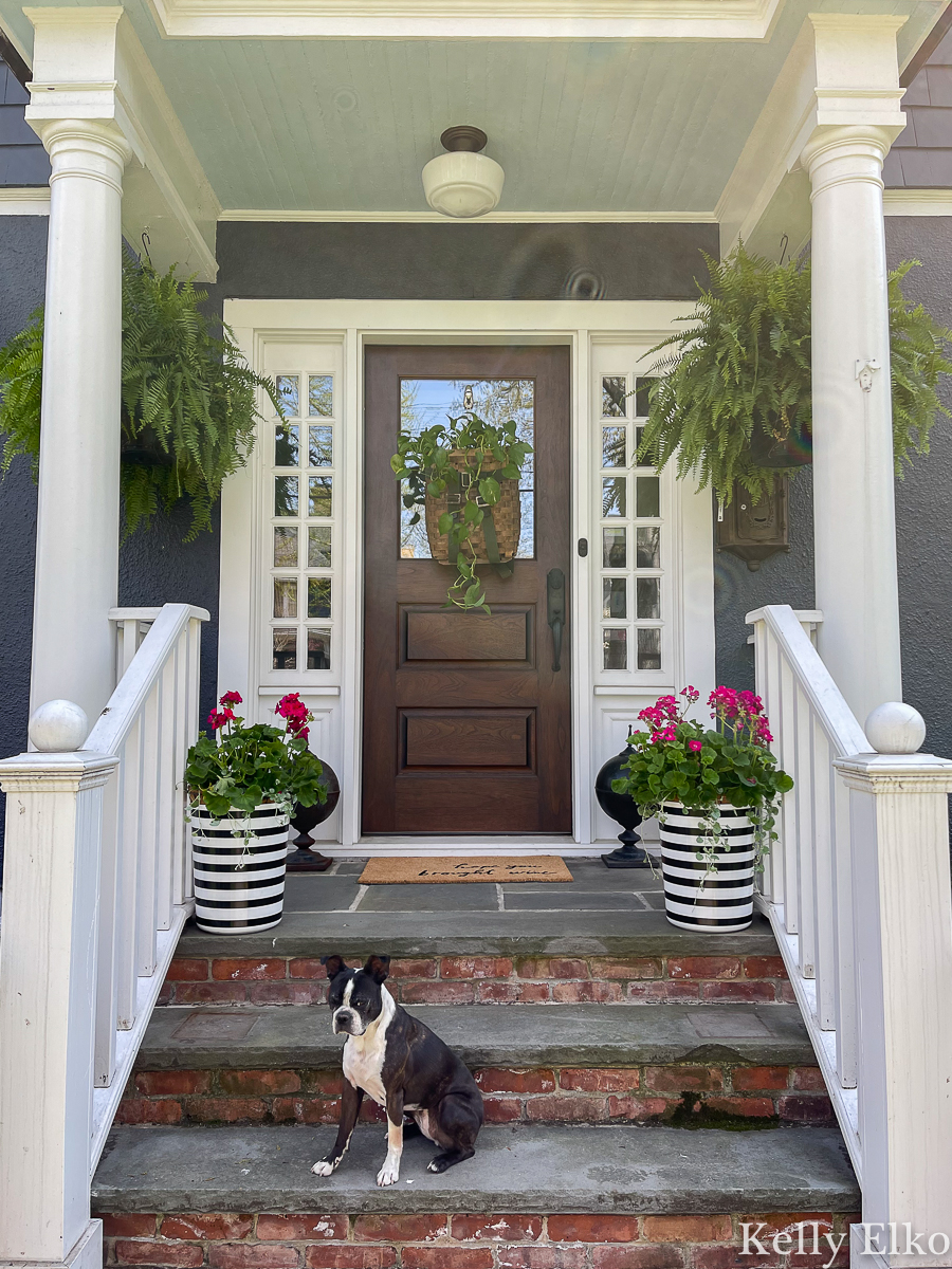 Love this front porch with trash can planter, huge hanging ferns and basket wreath kellyelko.com #porch #ferns #planters #summerporch #geraniums 