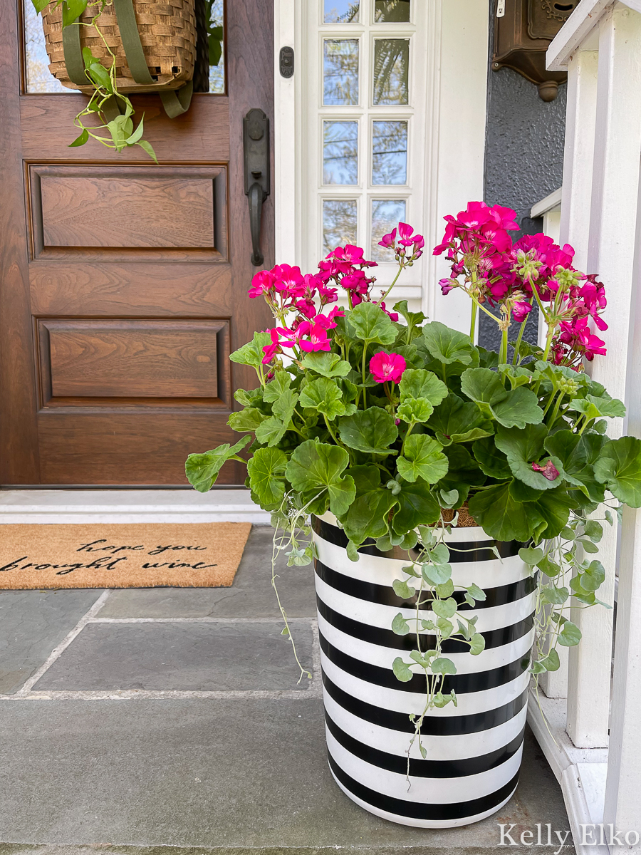 Love this black and white planter with pink geraniums kellyelko.com #planter #geraniums #porchdecor