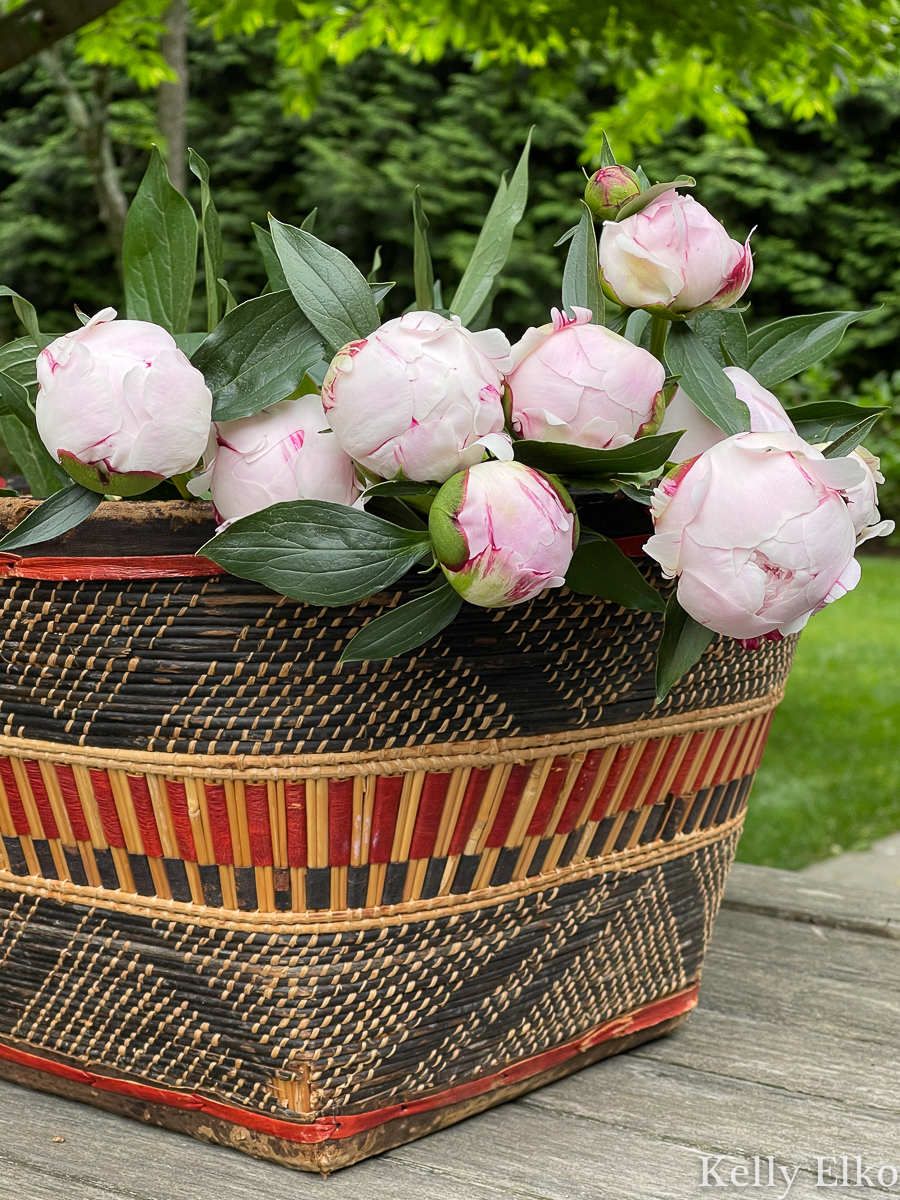 Gorgeous freshly cut peony flowers in a basket kellyelko.com