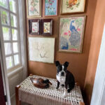 Vintage Birds Gallery Wall kellyelko.com
