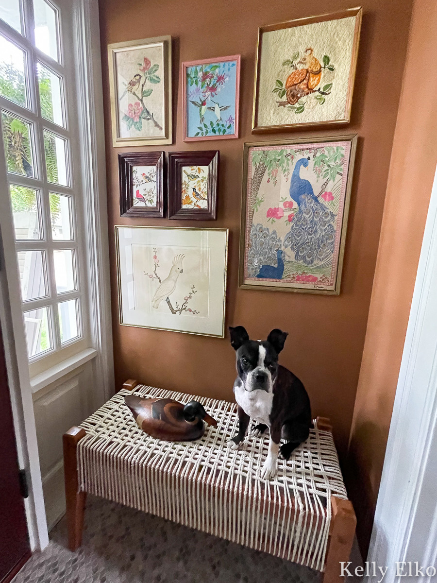 Dog gallery wall on sale