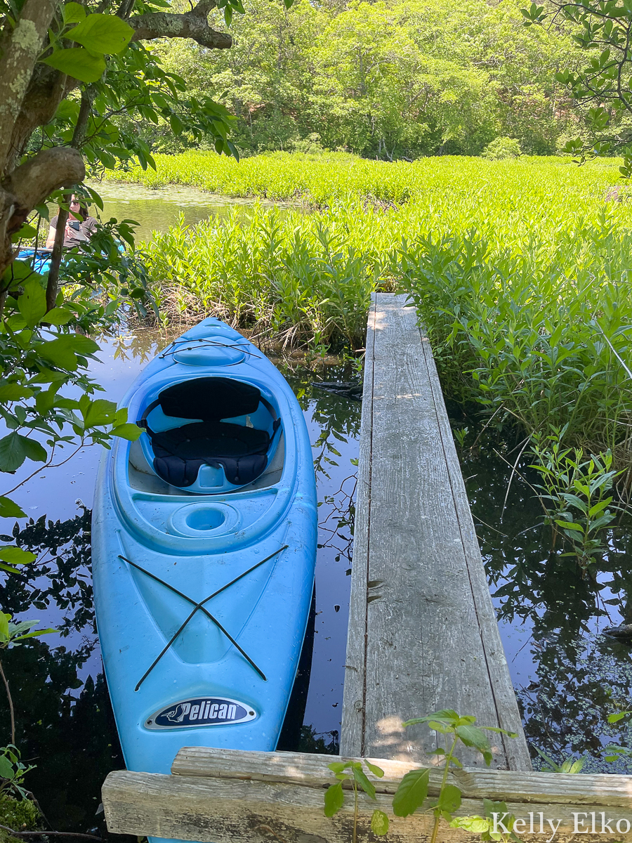 Lovely little pond for kayaking kellyelko.com