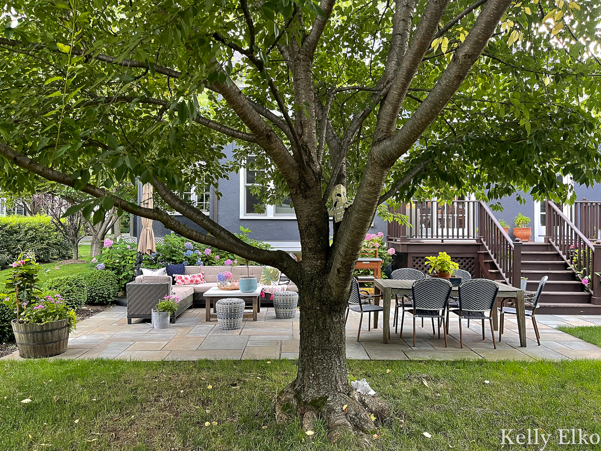 Beautiful backyard patio with lounging area and dining area kellyelko.com