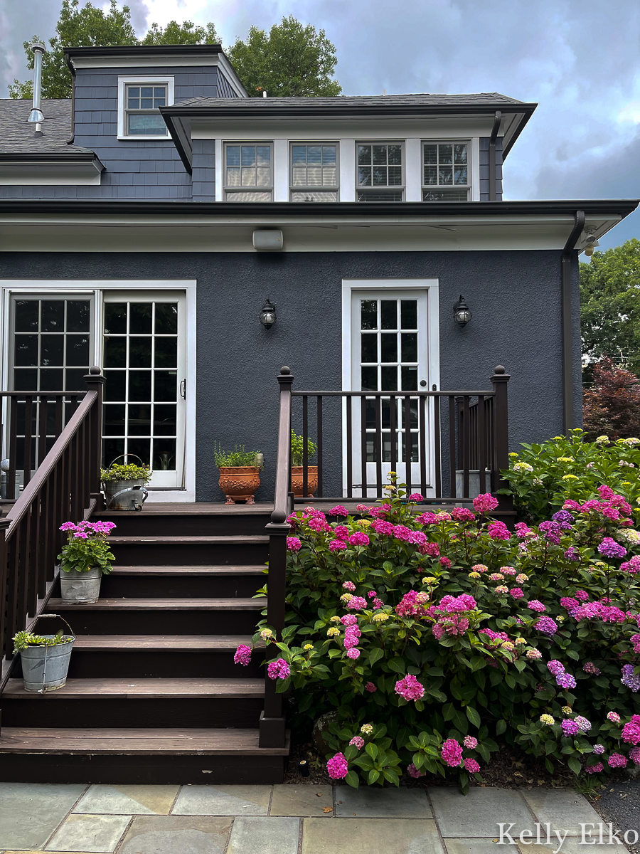 Love this blue home with stunning hydrangeas surrounding the back deck kellyelko.com