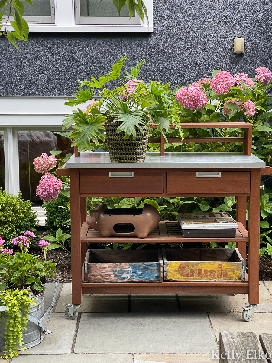 Love this potting shed / bar cart for outdoor parties kellyelko.com