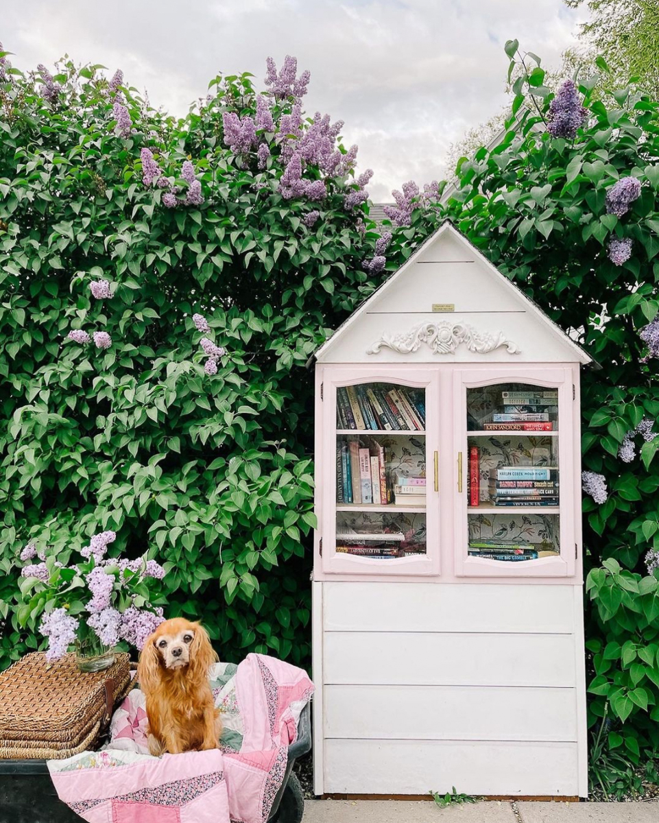 Free little library plans kellyelko.com