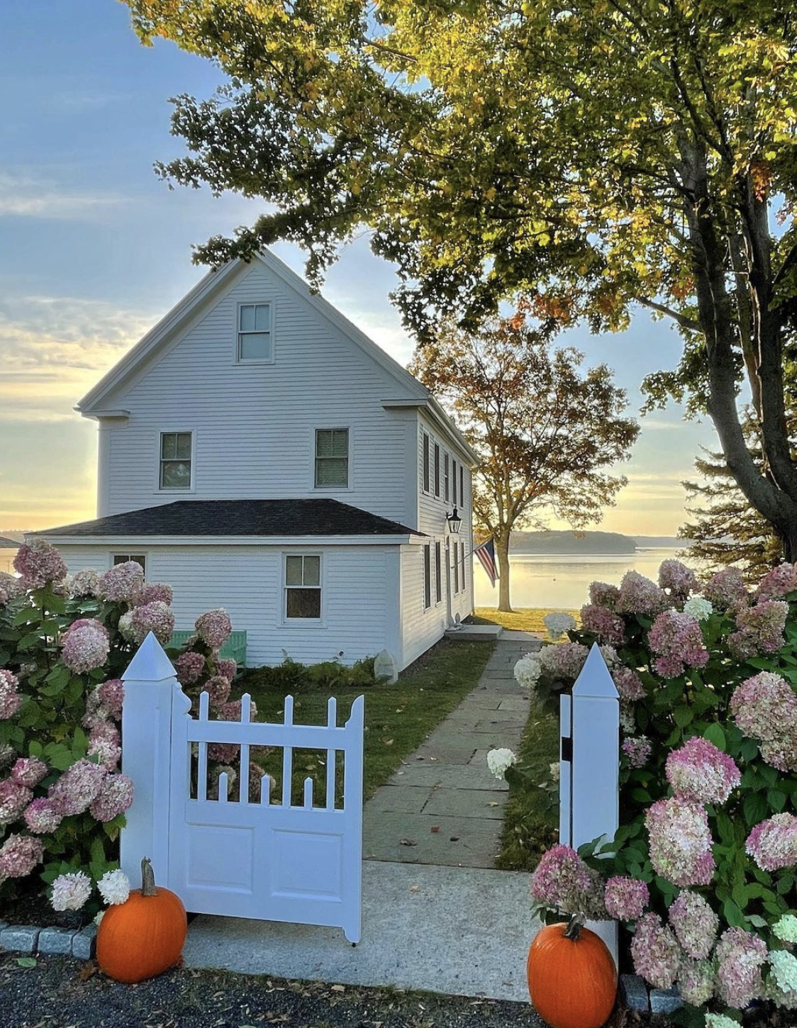 Limelight hydrangeas in the fall kellyelko.com