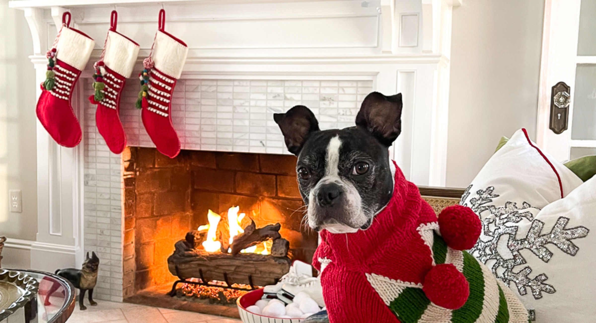 christmas-sweater-boston-terrier-christmas-mantel