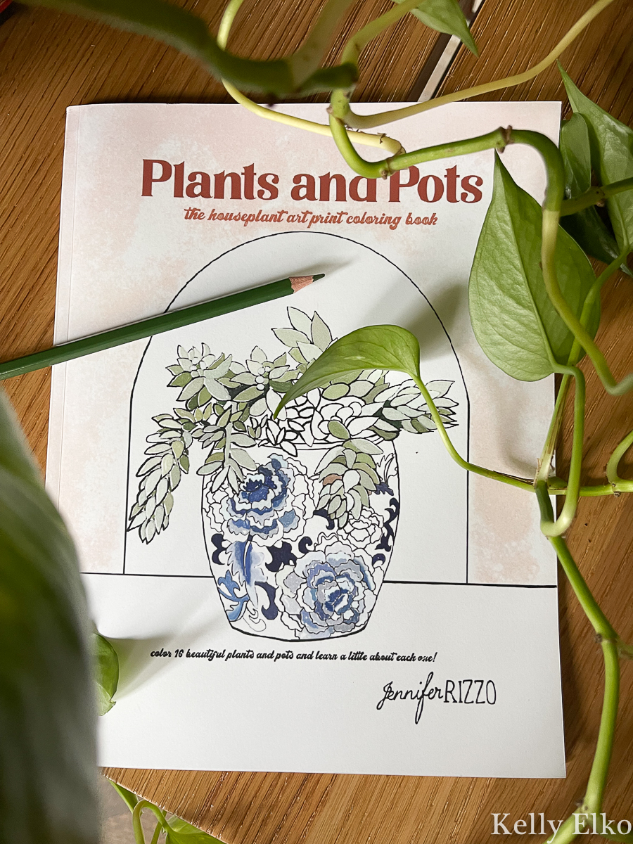 Plants and Pots coloring book kellyelko.com