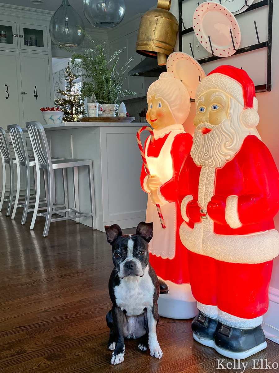 Vintage Santa & Mrs. Claus blow molds and the cutest Boston Terrier! kellyelko.com