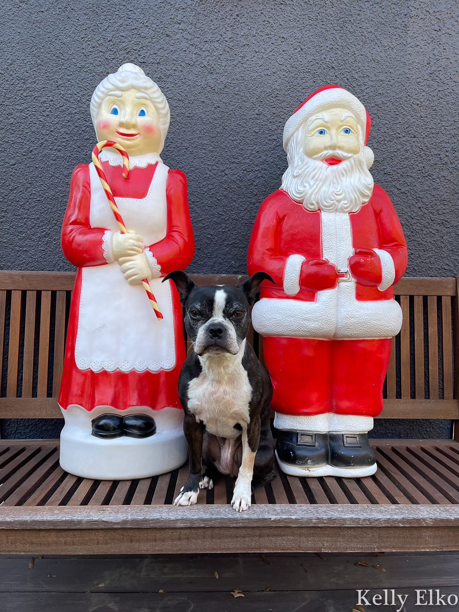 Love this cute pair of Santa & Mrs. Claus blow molds kellyelko.com 