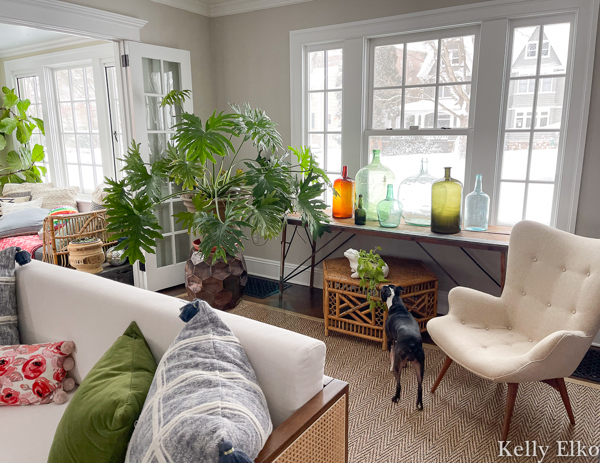 Eclectic boho home with lots of rattan furniture, houseplants, and vintage collections