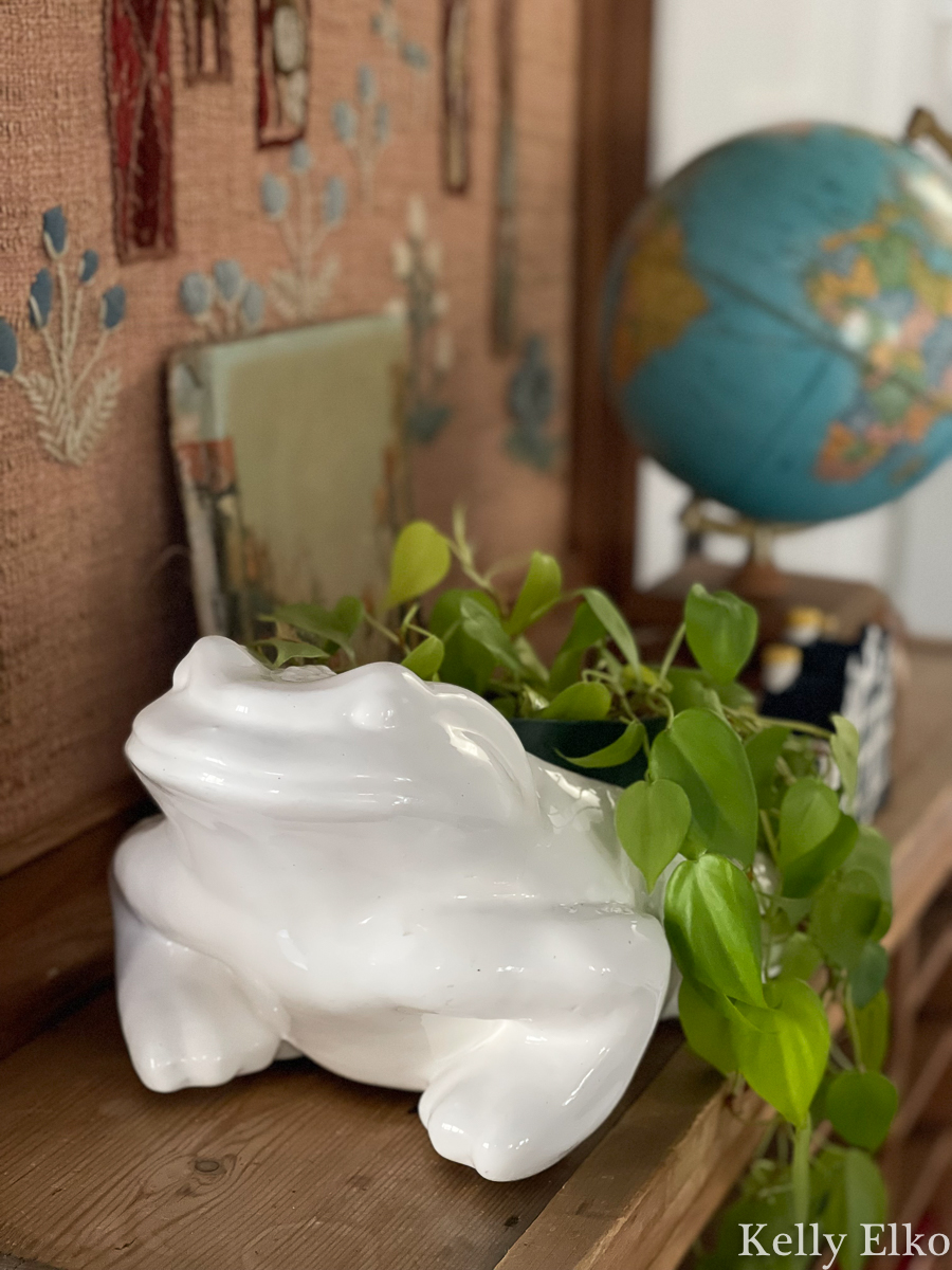 Pothos in a frog planter kellyelko.com