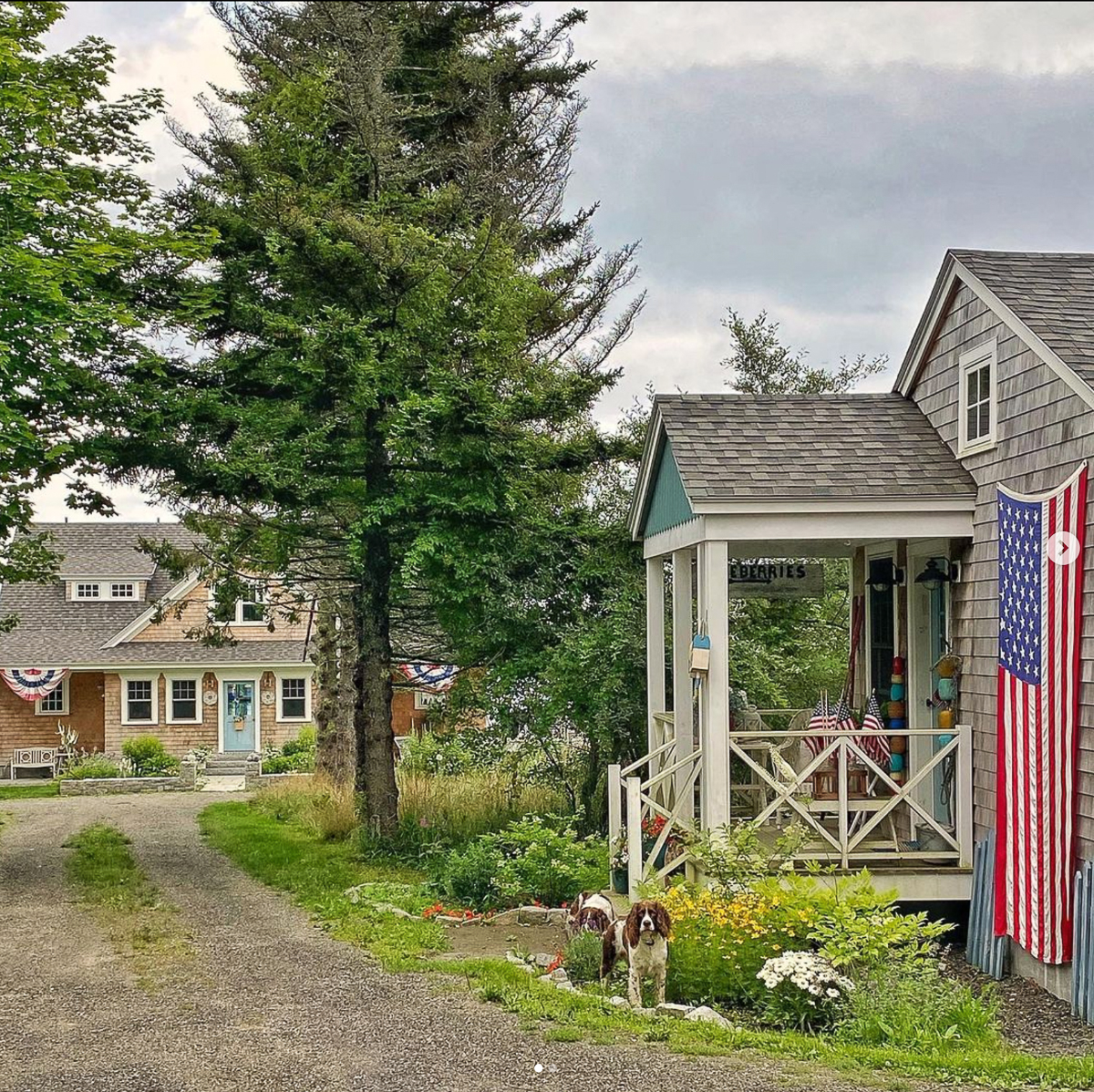 Love this stunning coastal home and guest cottage kellyelko.com