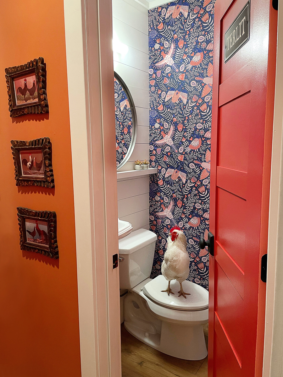 Love the colorful bird wallpaper in this powder room with red door and a chicken!!