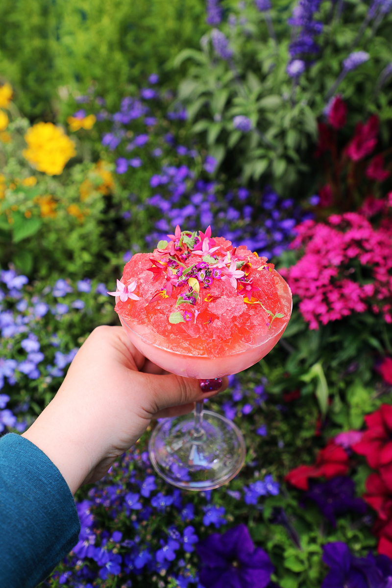 Colorful granita with floral garnish