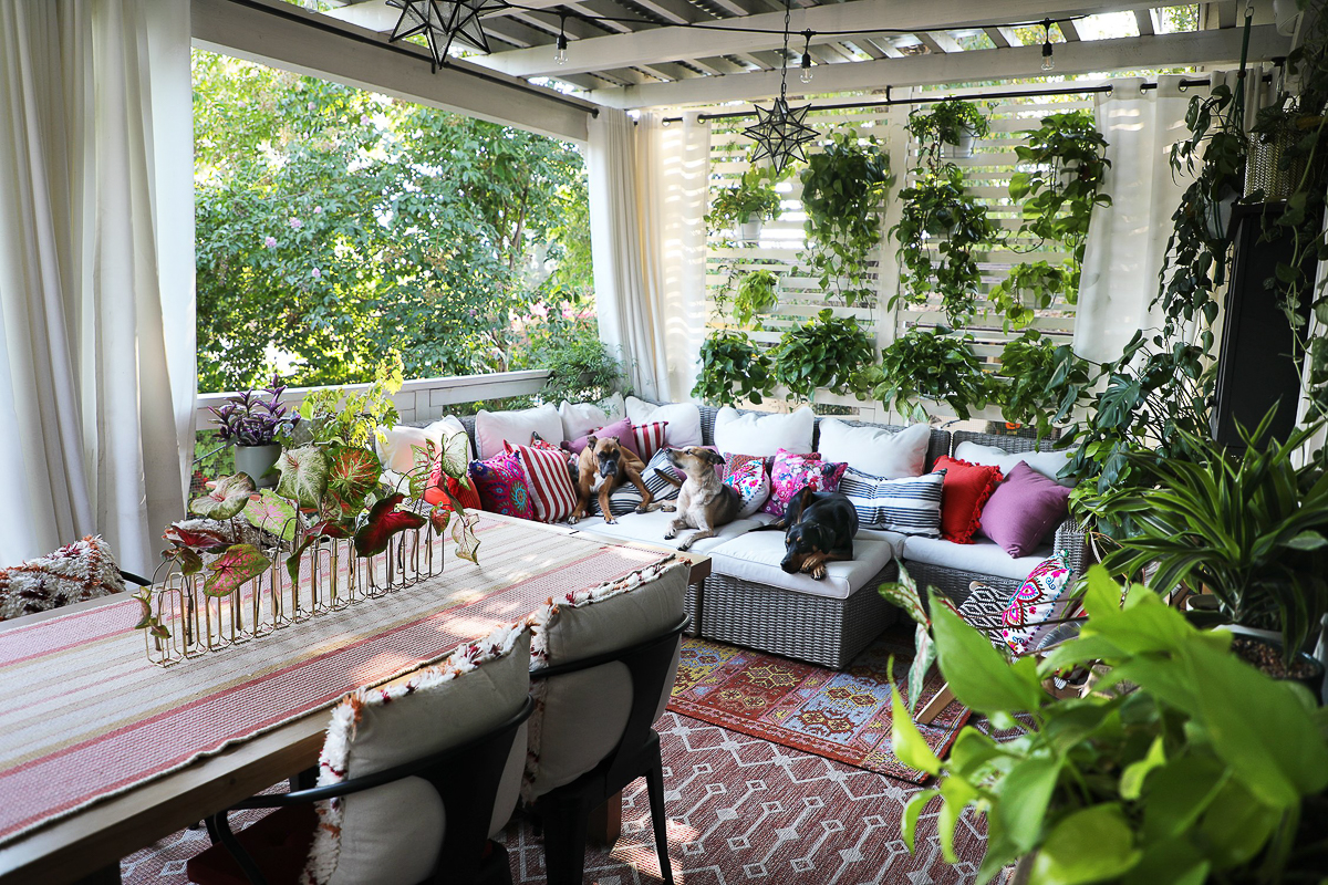 Beautiful deck with privacy screen covered in plants 