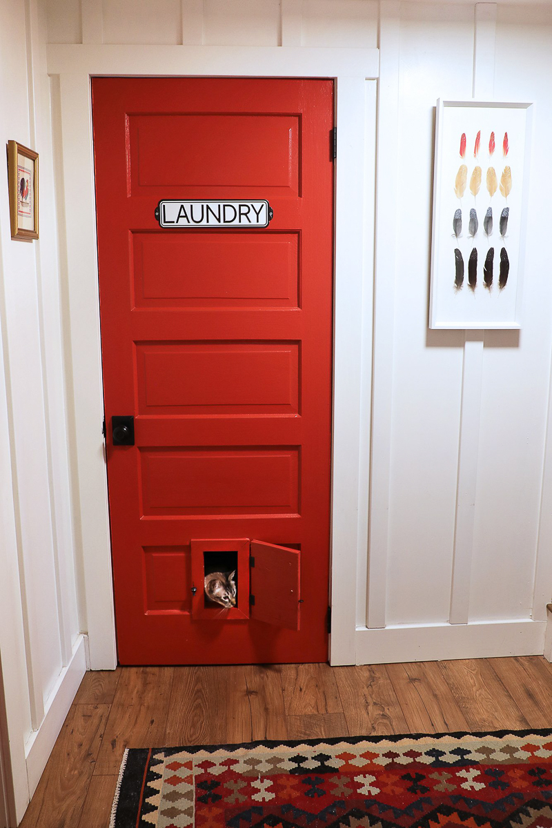 Cat door in interior door 