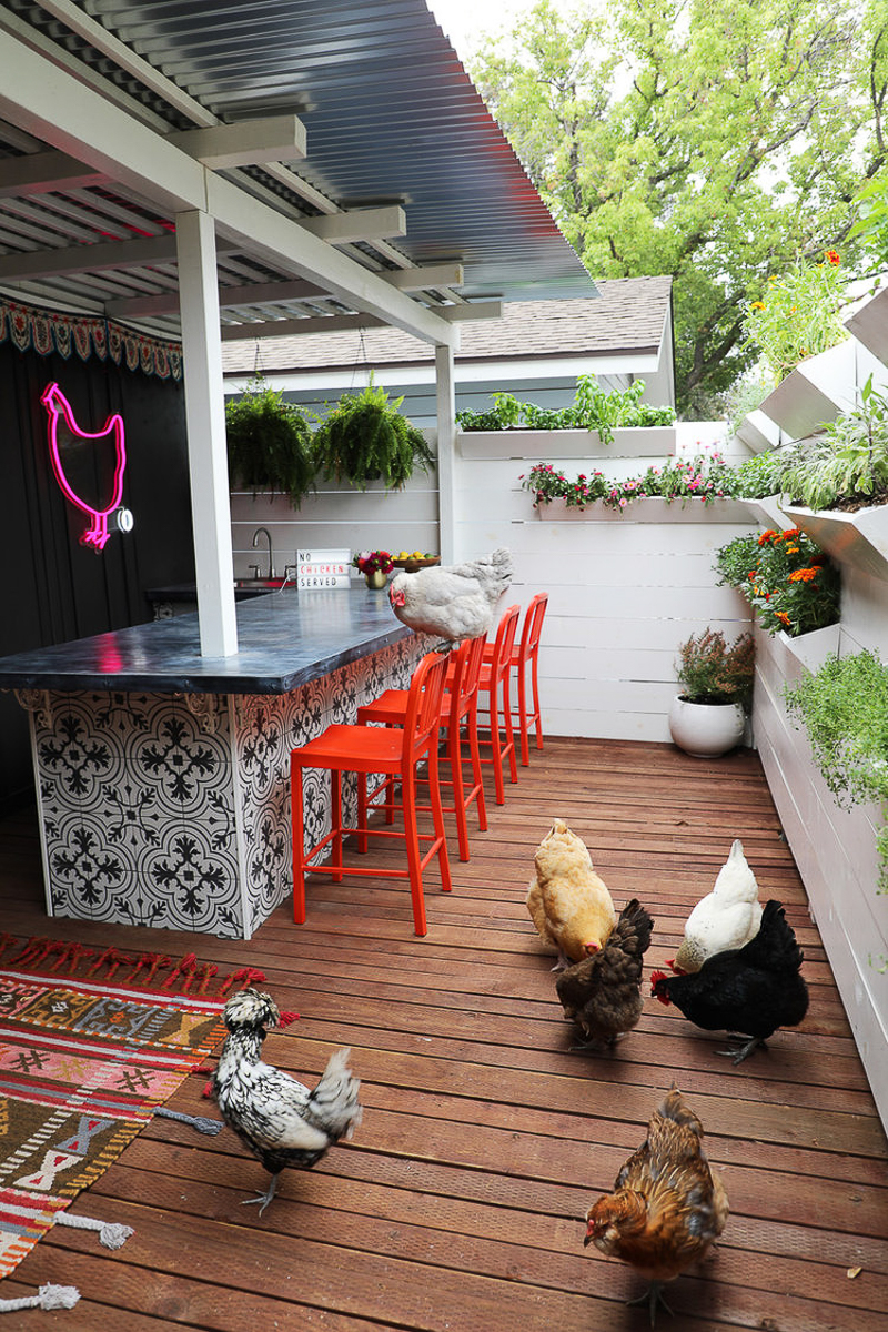 Drinking with Chickens outdoor bar - love the neon chicken sign 