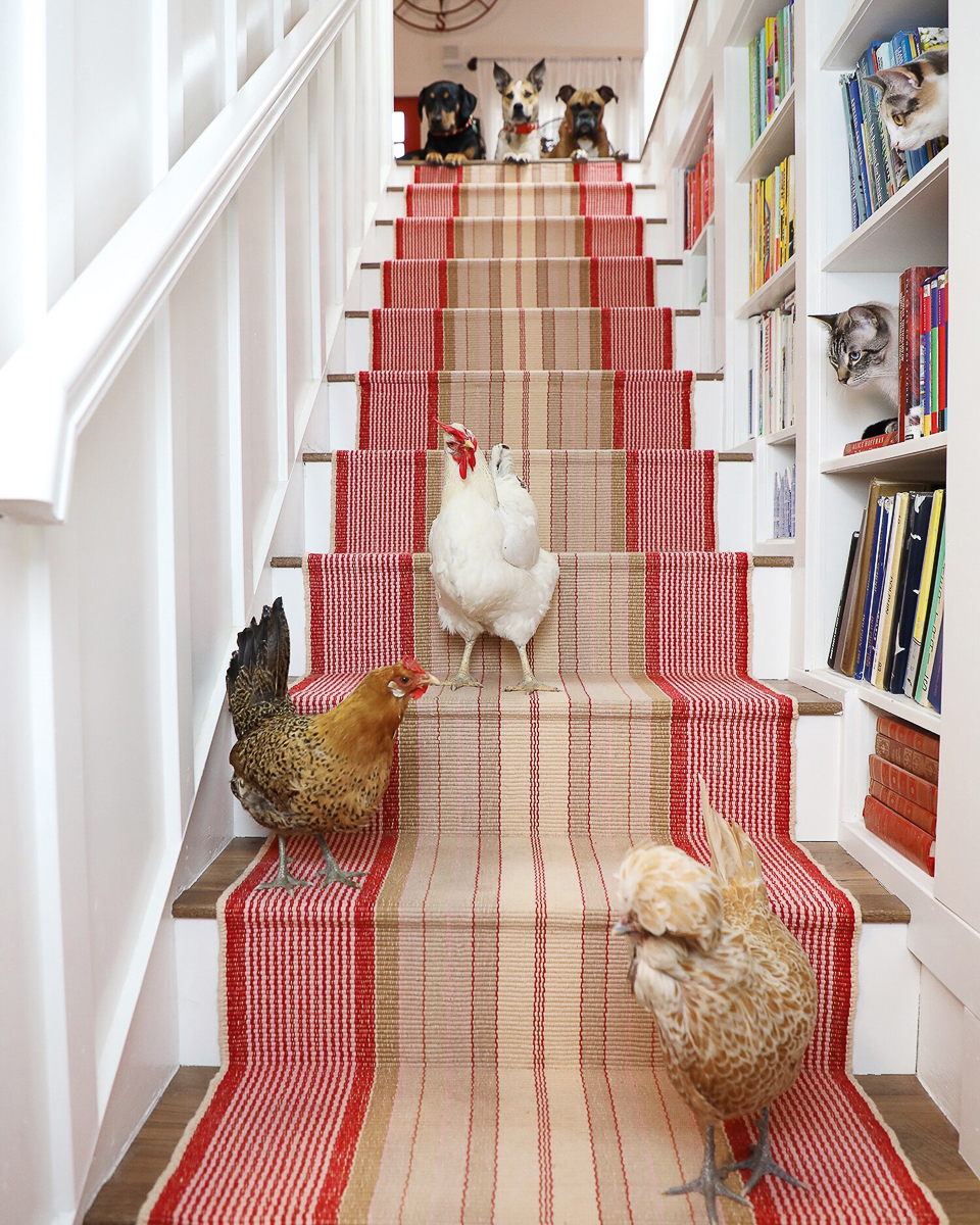 Eclectic Home Tour Drinking with Chickens - love the red stair runner, the built in bookcase and of course the chickens, dogs and cats!