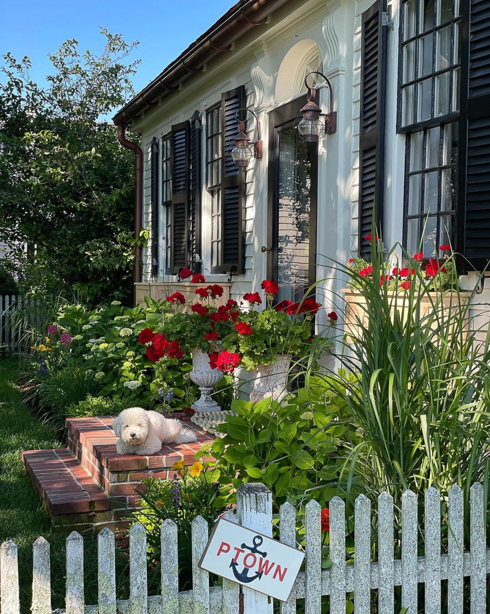 Charming 1800's seaside cottage with black shutters and red geraniums and a white picket fence - such curb appeal 