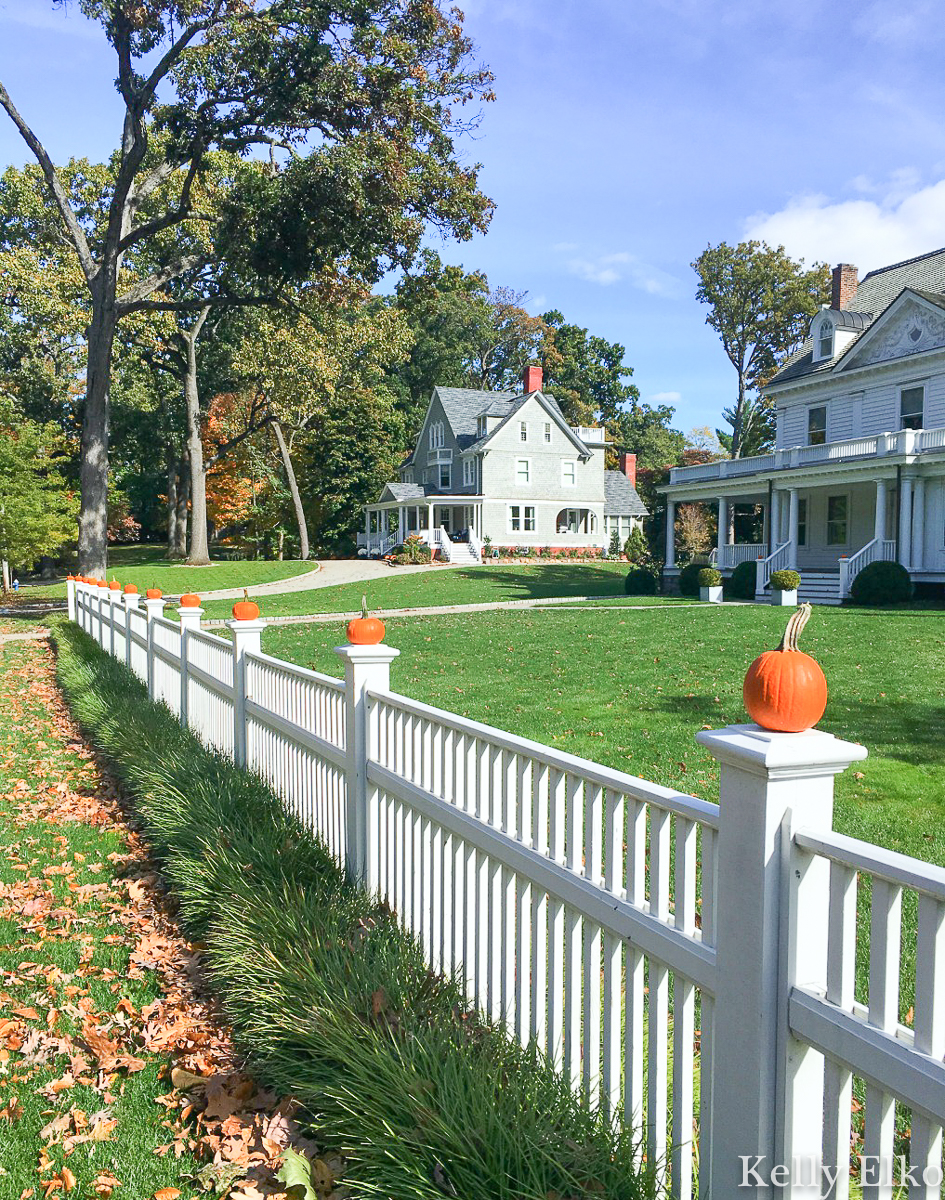 Fun fall outdoor decorating idea - mini pumpkins on a picket fence / kellyelko.com