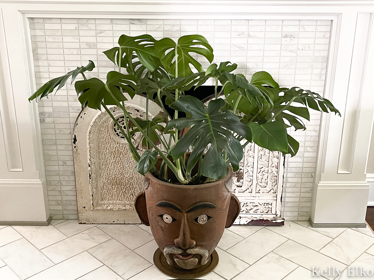 Love this fun mustache man planter kellyelko.com