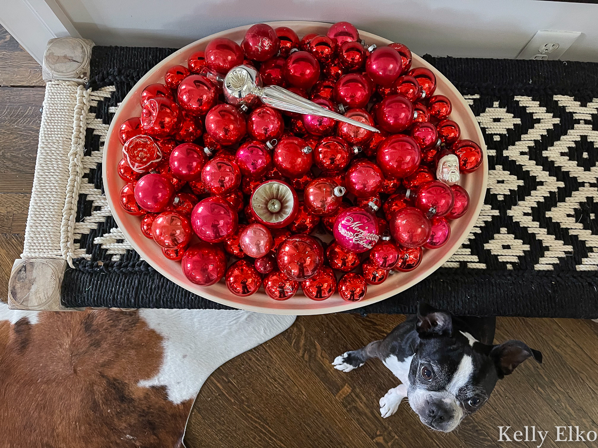 Huge bowl of red vintage ornaments and a cute Boston Terrier! kellyelko.com