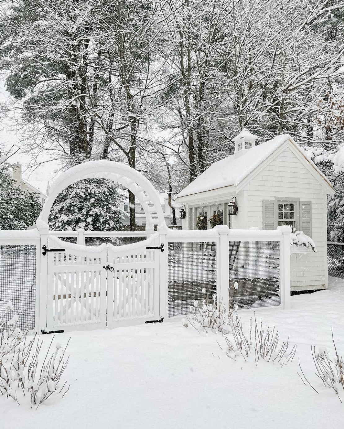 Garden blanketed in snow 