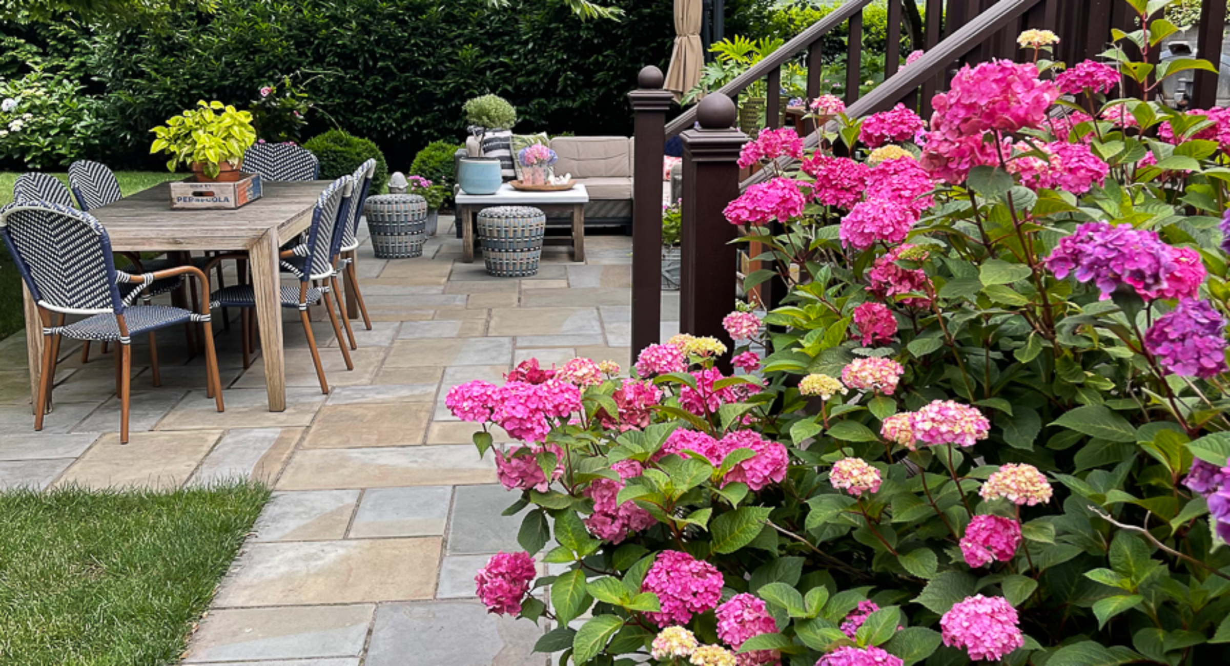 beautiful-hydrangeas-slate-patio