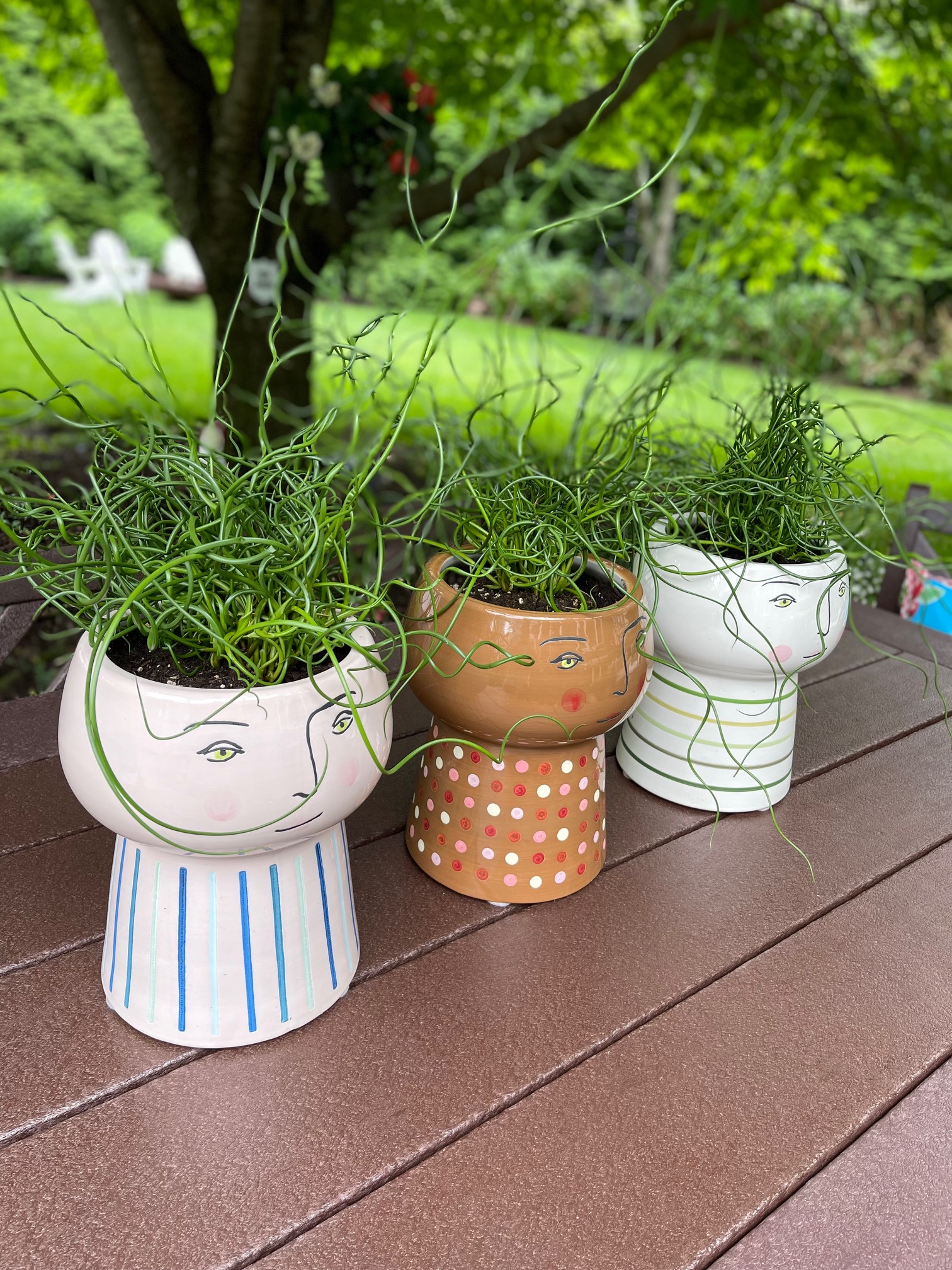 Fun head planters with wild "hair"! kellyelko.com 