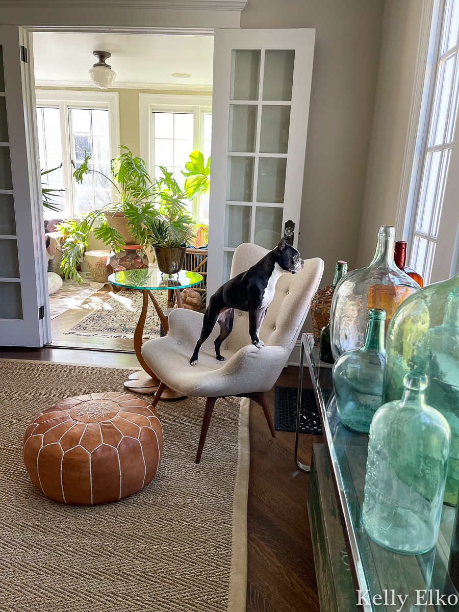 Living room with French doors into sunroom filled with plants and vintage jars kellyelko.com