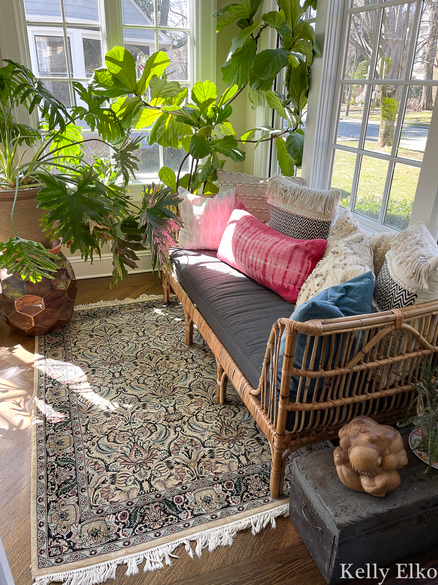 Sunroom with rattan daybed, vintage rug, fiddle leaf fig tree and a huge philodendron! kellyelko.com