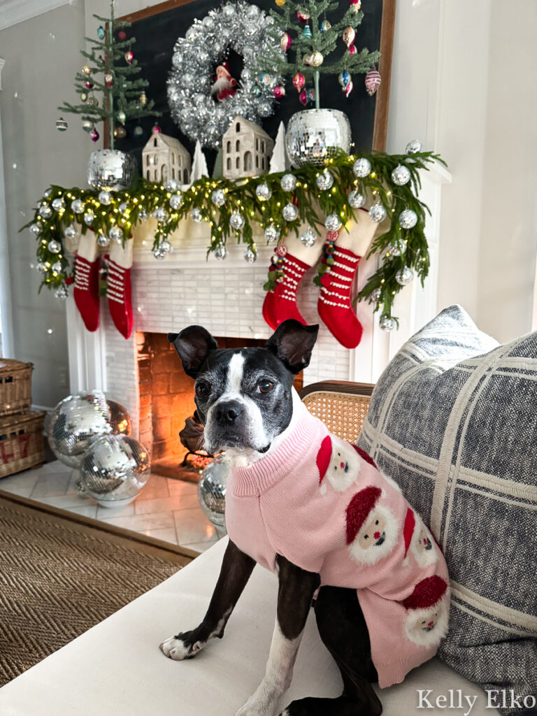 Disco ball Christmas - love the dog's cute Santa sweater kellyelko.com