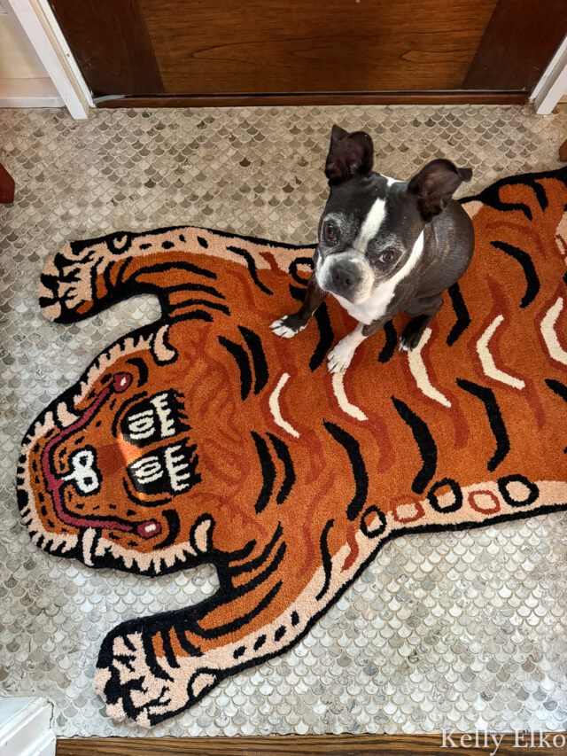 Manifesting a Fun Trend - Tibetian Tiger Rugs - Kelly Elko