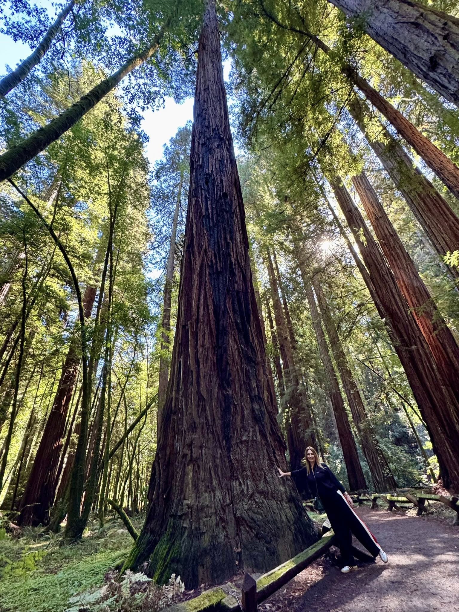 Armstrong Redwoods / kellyelko.com