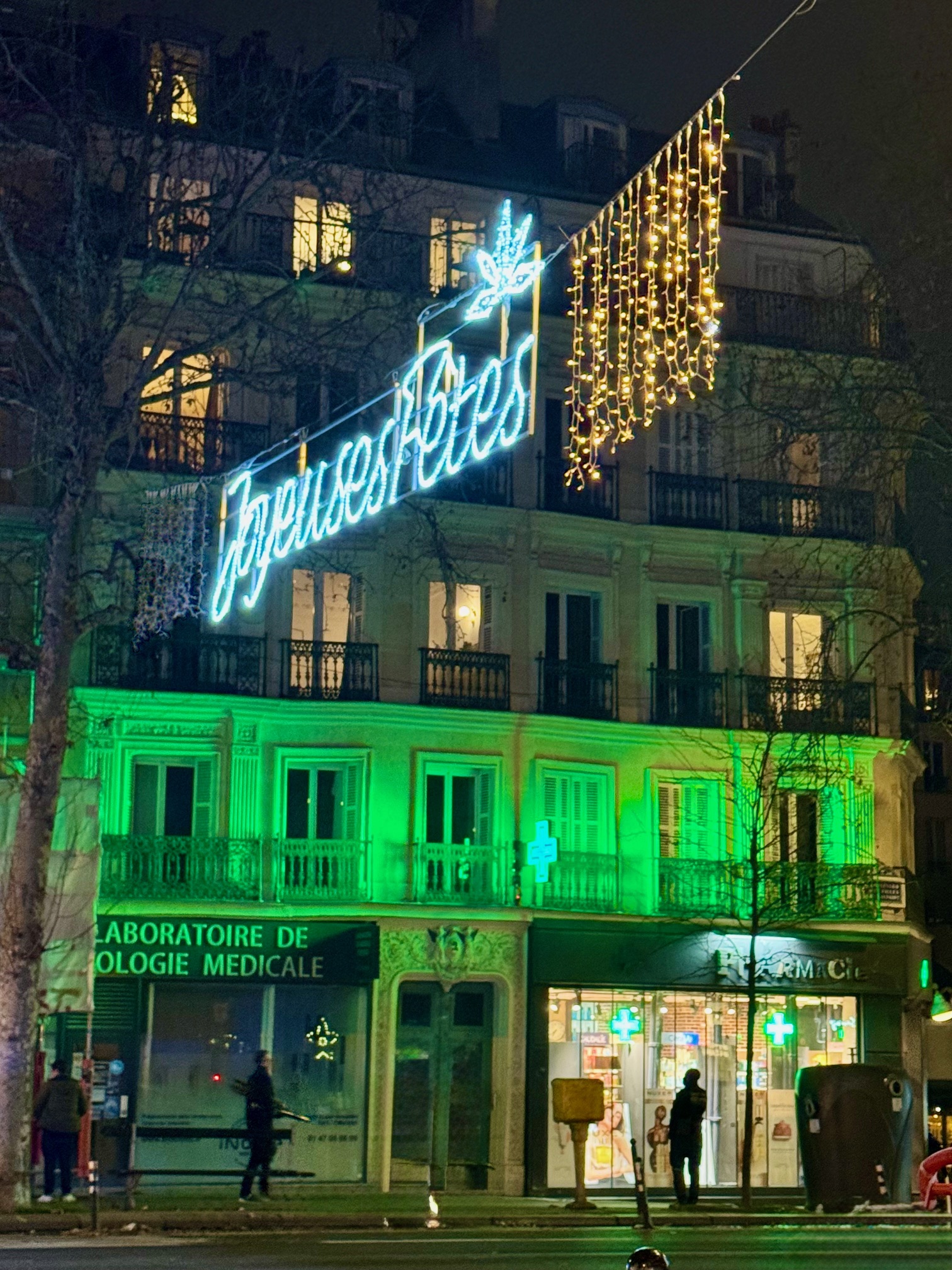 Joyeuses Fetes Paris Lights